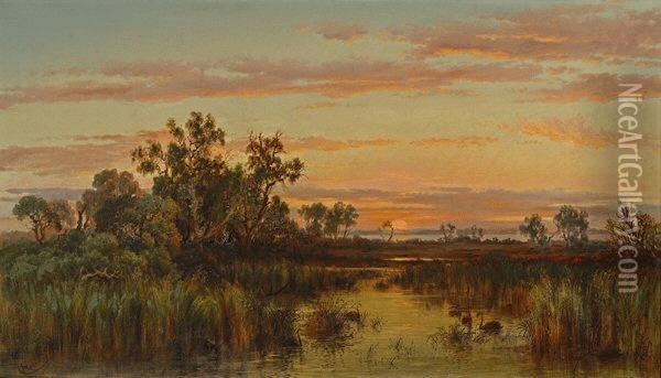 Haunt Of The Black Swans, Sunset, Gippsland River Oil Painting - Charles Rolando