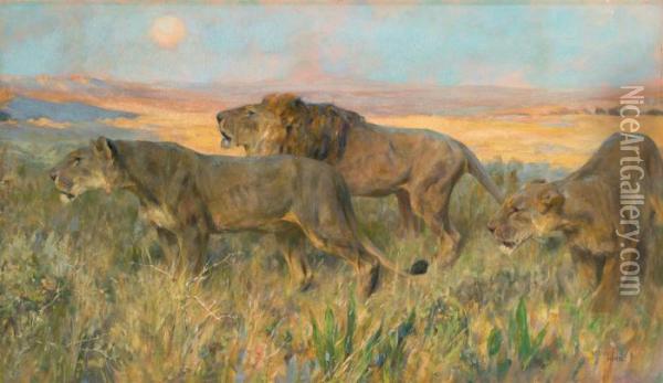 Lions: Sunset Oil Painting - Arthur Wardle