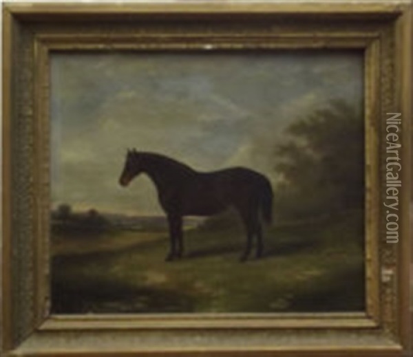 Horse In A Landscape Oil Painting - James Clark