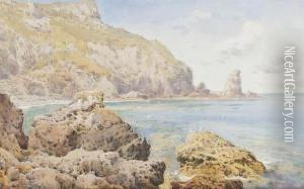 Limestone Cliff, Near Torquay, Devon Oil Painting - Arthur Suker