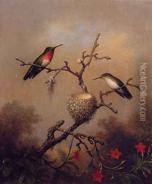 Ruby Throated Hummingbird Oil Painting - Martin Johnson Heade