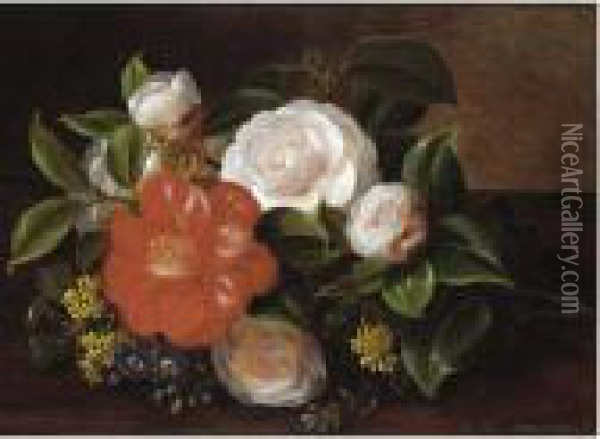 Still Life Of Camellia And Roses; Still Life Of Anemones Oil Painting - Johan Laurentz Jensen
