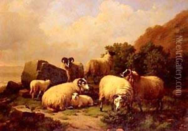 Sheep grazing By The Coast Oil Painting - Eduard Veith