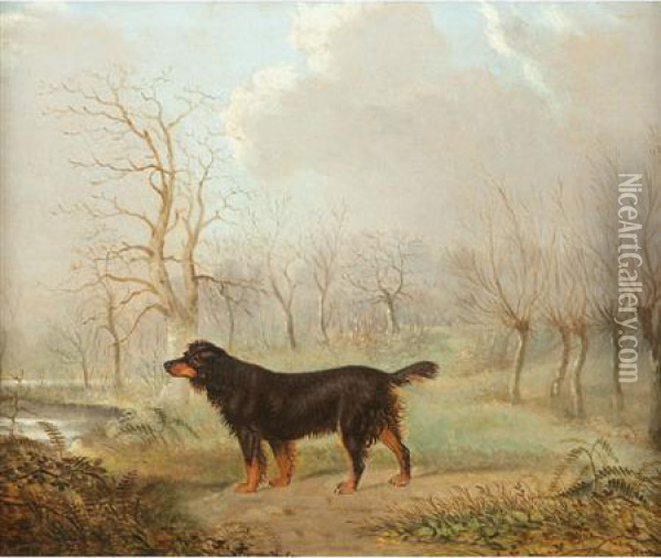 Gordon Setter In A Landscape Oil Painting - Augustus S. Boult