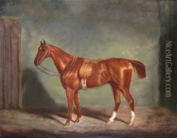 A Chestnut Hunter In A Stable Oil Painting - James (of Bath) Loder