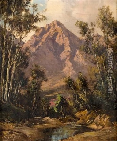 Mountain Stream Oil Painting - Tinus de Jongh