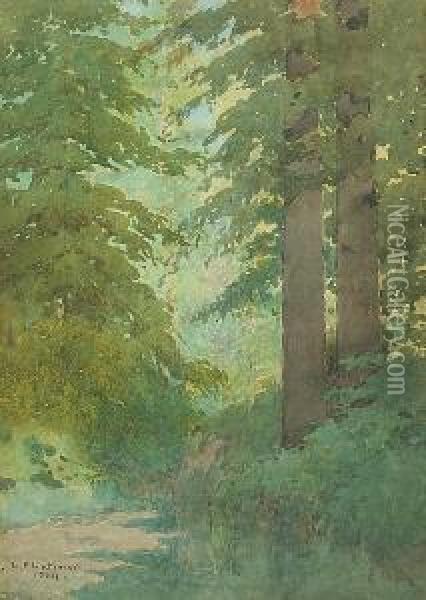 Scattered Sunlight In A Forest Interior Oil Painting - Lorenzo Palmer Latimer