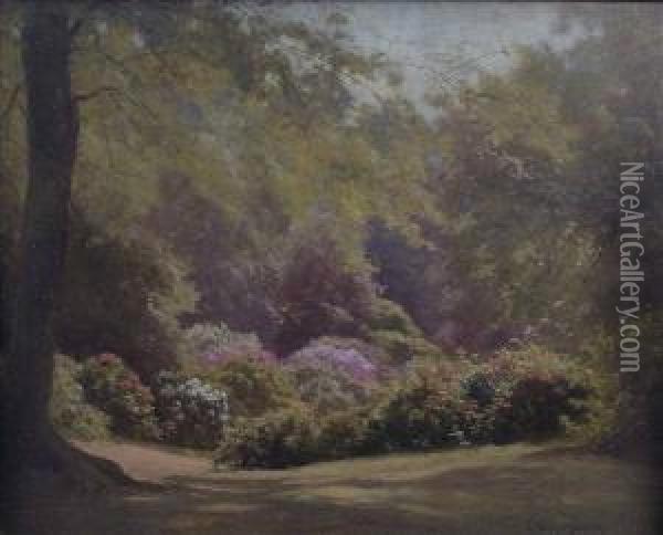 Rhododendrons In Richmond Park Oil Painting - Edward Henry Holder