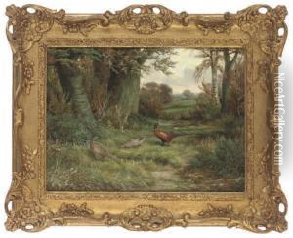 A Cock And Two Hen Pheasants In A Wooded Landscape Oil Painting - Benjamin, Ben Hold