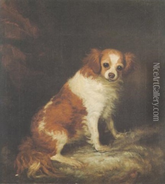 A Toy Spaniel Oil Painting - Ramsay Richard Reinagle