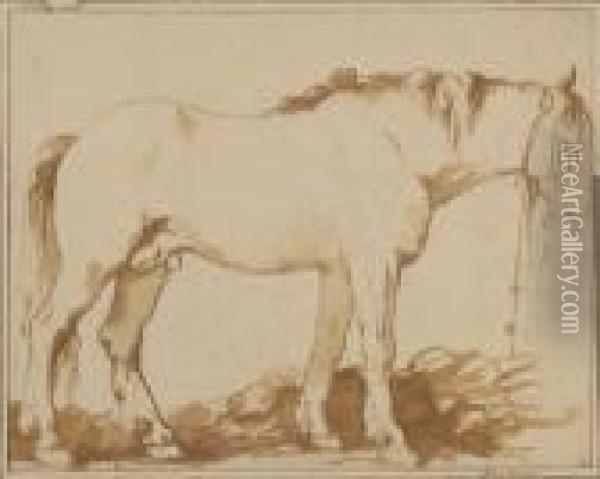 Standing Horse Oil Painting - Louis Lagrenee