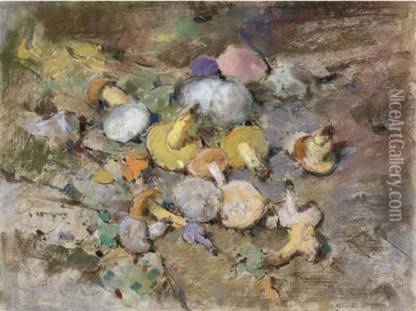 Funghi Oil Painting - Giuseppe Casciaro