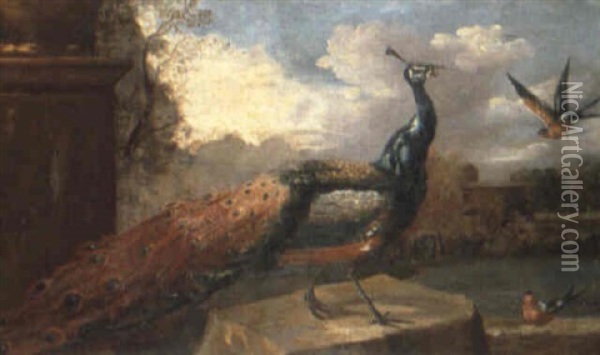 A Peacock And Other Birds In A Landscape Oil Painting - Pieter Casteels III