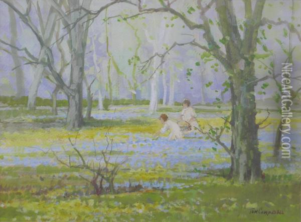 In The Bluebell Woods Oil Painting - Thomas, Tom Campbell