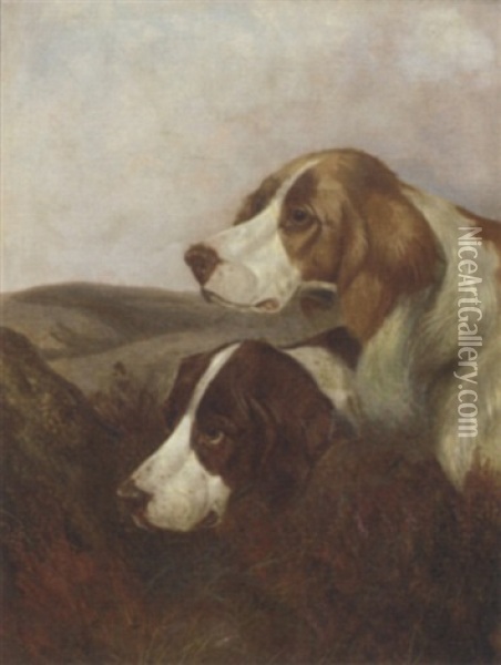 A Brace Of Pointers Oil Painting - Colin Graeme