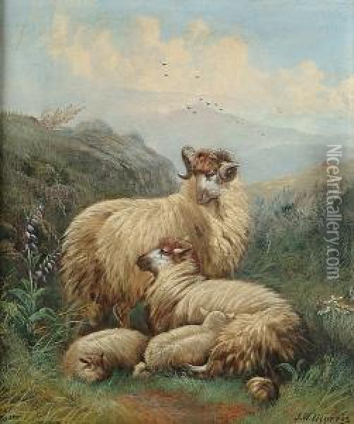 Sheep Resting In A Highland Landscape Oil Painting - John Morris