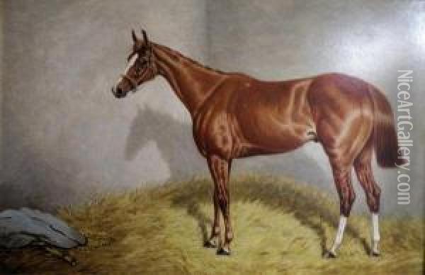 Portrait Of The Race Horse 