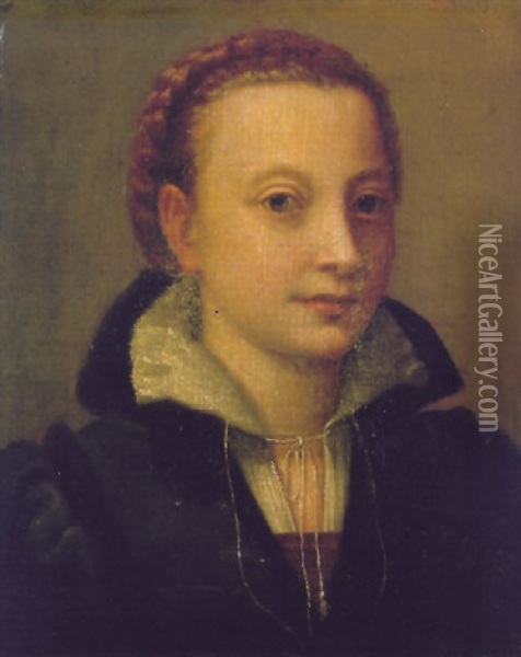 Portrait Of Minerva Anguissola, Wearing A Black Dress, A Brown Bodice And A White Lace Chemise Oil Painting - Lucia Anguissola