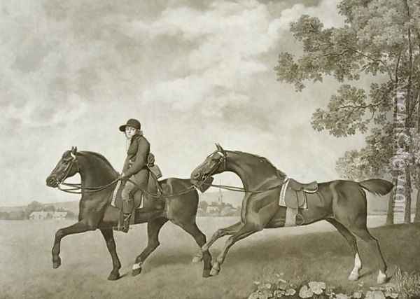 Two Hacks, engraved by George Townley Stubbs Oil Painting - George Stubbs