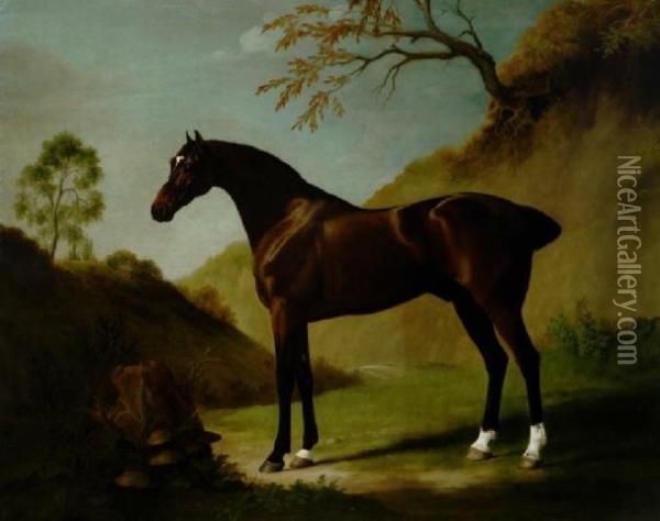 Dark Bay Thoroughbred In A Landscape Oil Painting - George Stubbs