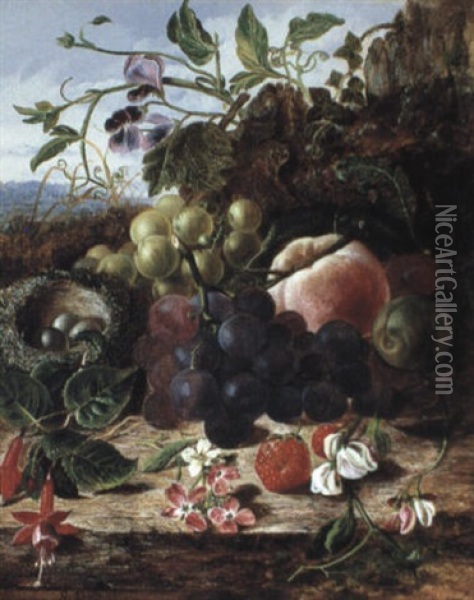Still Life With Grapes, A Peach, Plums, Strawberries,       Fuchias, Sweet Peas And A Bird's Nest Oil Painting - George Clare