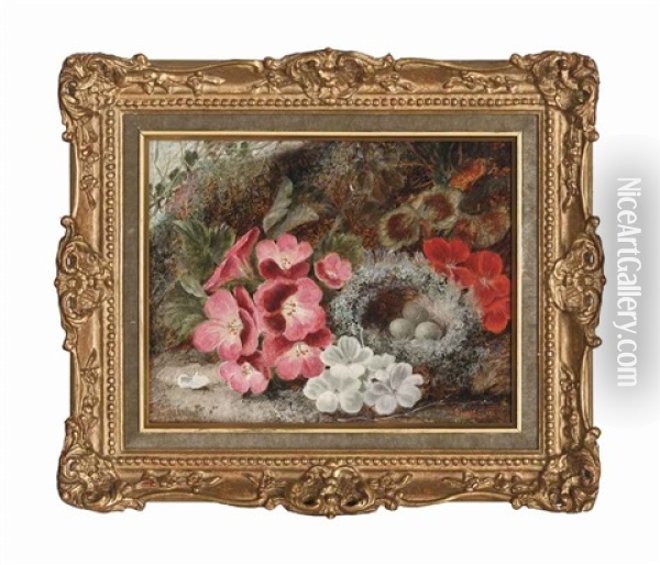 Primroses And An Egg Nest On A Mossy Bank Oil Painting - Oliver Clare