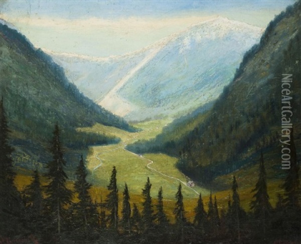 Der Riesengrund Oil Painting - Jan B. Minarik