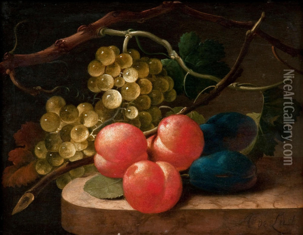 Still Life Withfruits. Oil Painting - Abraham De Lust