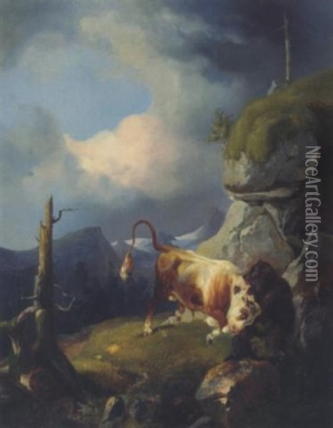 Ein Stier Kampft Mit Einem Baren Oil Painting - Friedrich Gauermann
