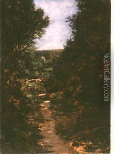 Ruisseau En Sous-bois Oil Painting - Maurice Levis