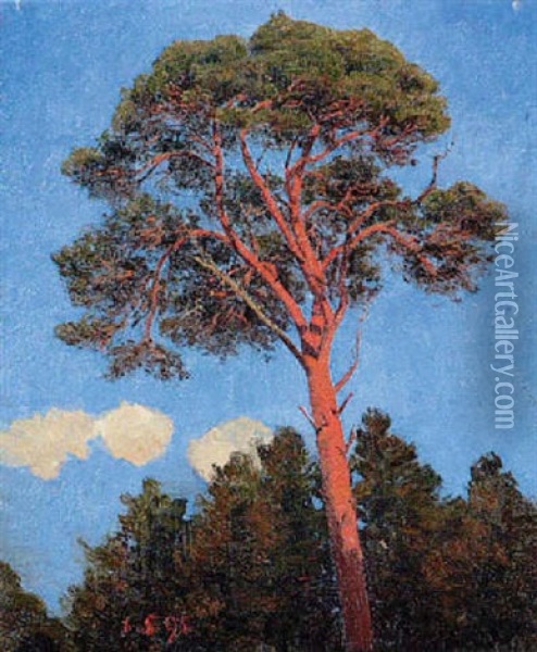 Baum Vor Blauem Himmel Oil Painting - Karl Mediz