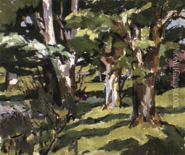 Trees, Auchnacraig Oil Painting - Francis Campbell Boileau Cadell