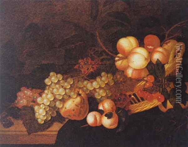 A Still Life Of Peaches, Cherries, Grapes And Prunes In A Basket, All On A Wooden, Partially Draped Ledge Oil Painting - Bartholomeus Assteyn