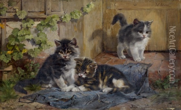 Drei Katzchen Im Garten Oil Painting - Julius Adam the Younger