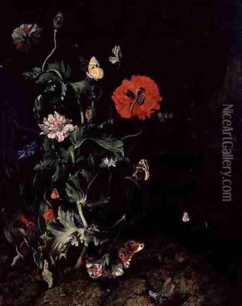 Forest Floor Still Life with Flowers and Butterflies Oil Painting - Rachel Ruysch