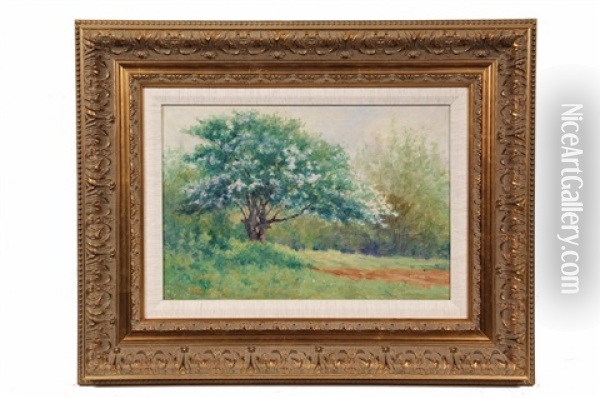 Apple Blossoms, Delano Park Oil Painting - George Frederick Morse