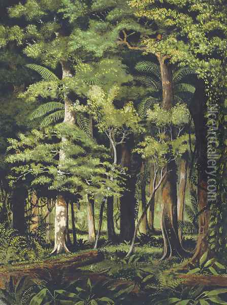 A Brazilian jungle Oil Painting - William Michaud