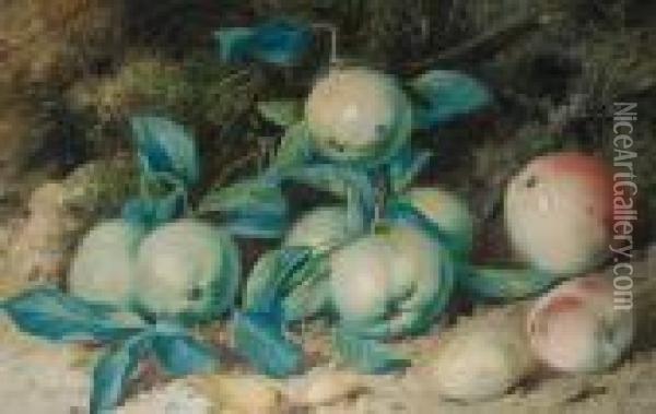 Still Life Of Apples And Hazelnuts Oil Painting - William Cruickshank