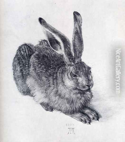 Young Hare Oil Painting - Albrecht Durer