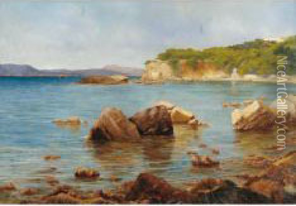 Marina Nel Golfo Di La Spezia Oil Painting - Silvio Allason