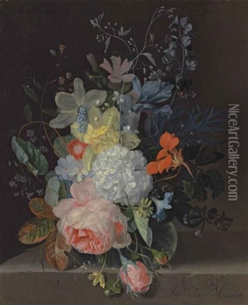A Rose, A Snowball, Daffodils, Irises And Other Flowers In A Glass Vase, On A Stone Ledge Oil Painting - Jan Van Huysum