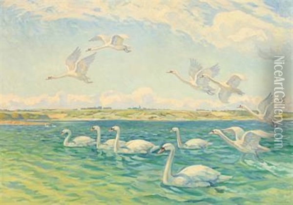 A Flock Of Swans At A Larger Lake Oil Painting - Wilfred Glud