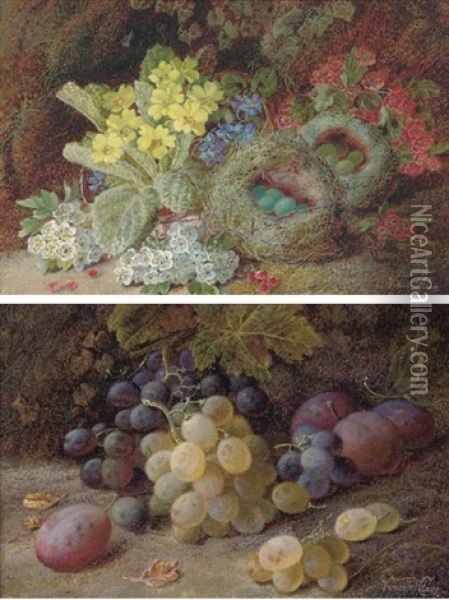 Primroses, Apple-blossom And A Bird's Nest On A Mossy Bank (+ Grapes And Plums On A Mossy Bank; Pair) Oil Painting - Vincent Clare