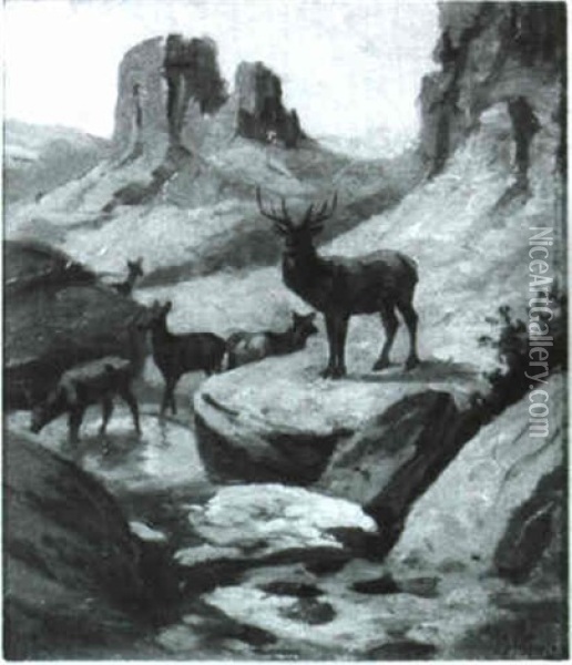 Elk At Waterhole Oil Painting - John Dare Howland