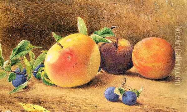 Study of Fruit 1877 Oil Painting - John William Hill