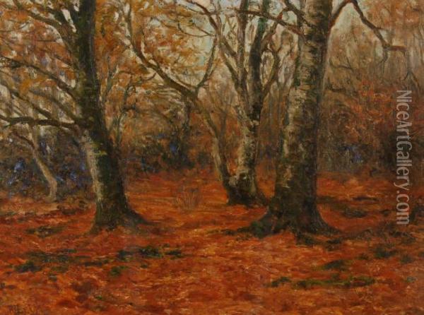 New Forest, November Oil Painting - Rose J. Leigh
