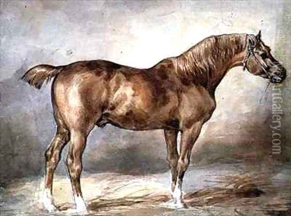 A docked chestnut horse Oil Painting - Theodore Gericault