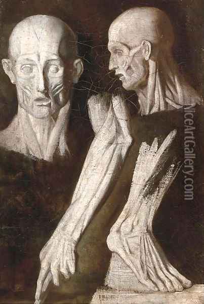 Anatomical studies of a man Oil Painting - French School
