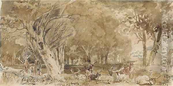 Deer resting in the shade Oil Painting - William Andrews Nesfield