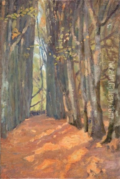 Aleja W Lesie Oil Painting - Franciszek Jurjewicz